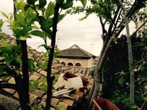 1907397_10153446113236383_4518271941009419389_n