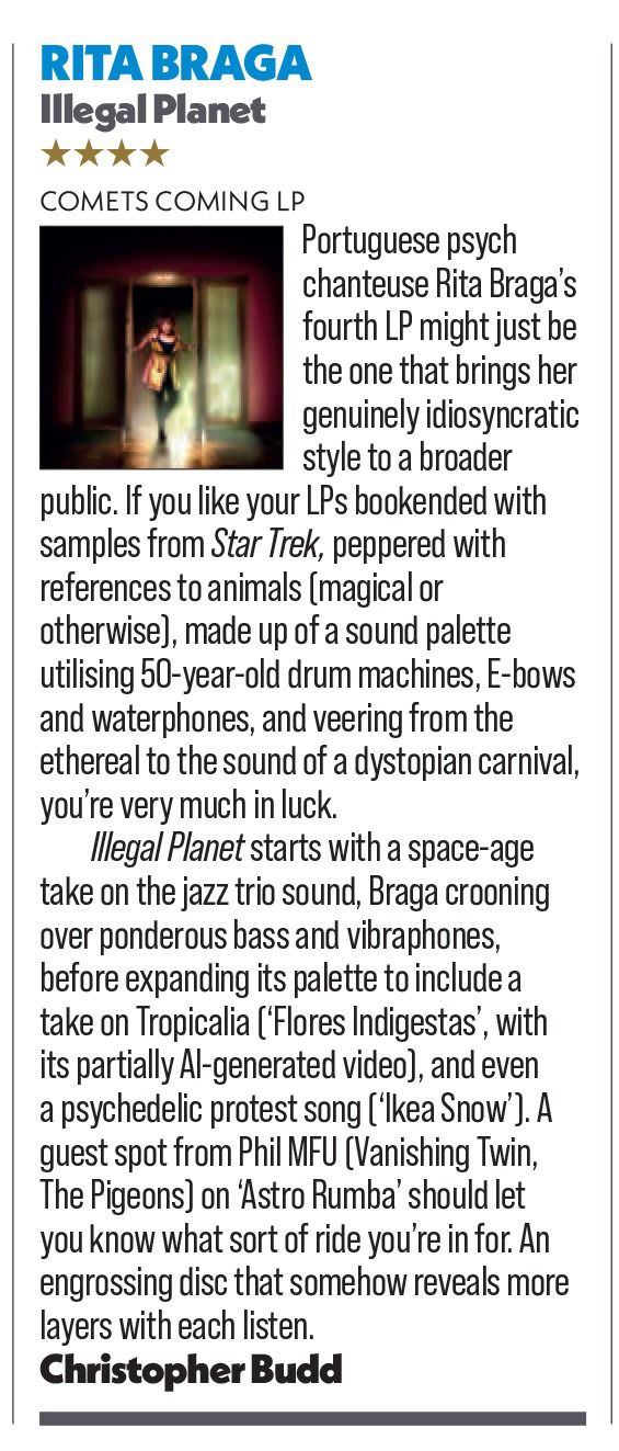 Illegal Planet Shindig